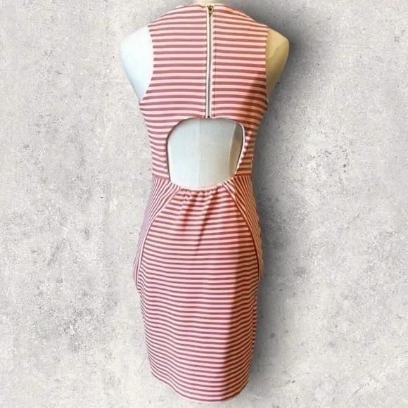 Trixxi dress - Picture 7 of 10